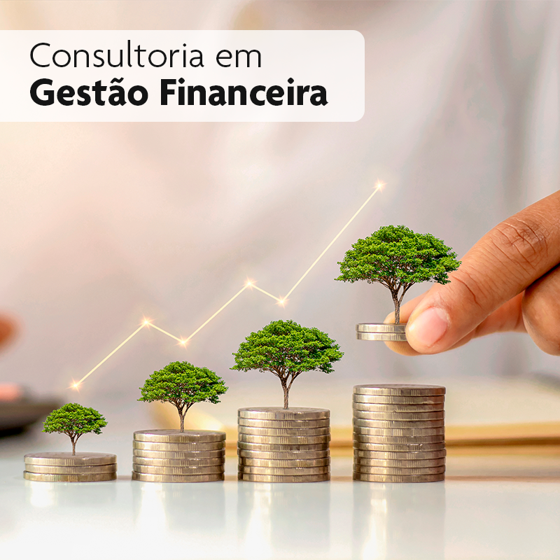 Consultoria em Gestão Financeira